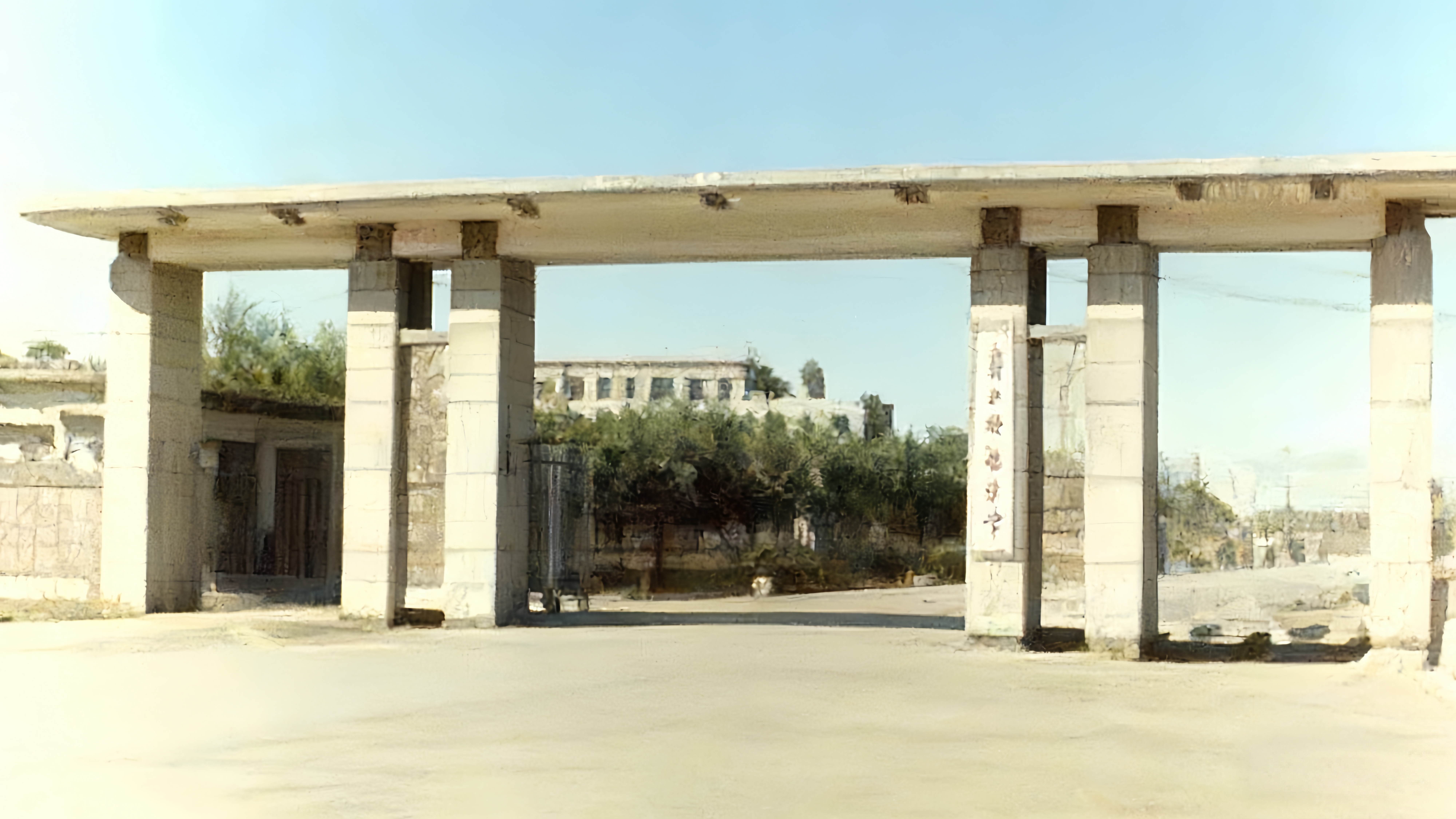 1981年校园